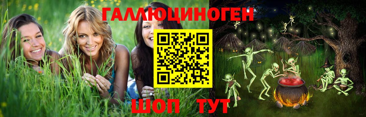 Псилоцибиновые грибы Psilocybine cubensis Великий Новгород
