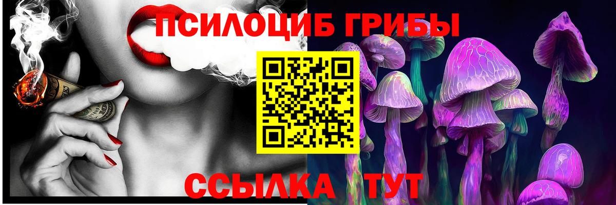 Галлюциногенные грибы Magic Shrooms  Галлюциногенные грибы Psilocybe  Вход с VPN  Великий Новгород 
